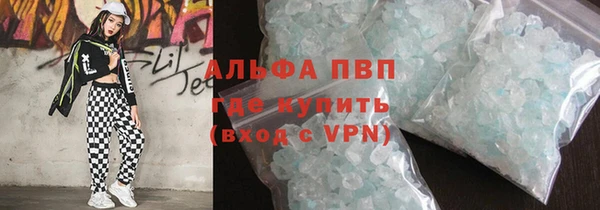 сатива Инсар