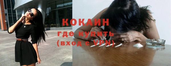 сатива Инсар