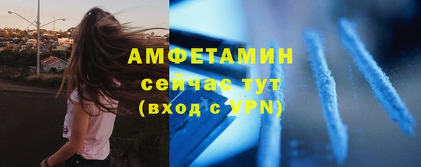 сатива Инсар
