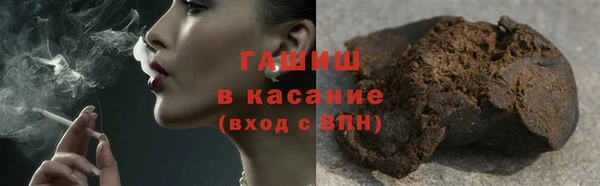 сатива Инсар