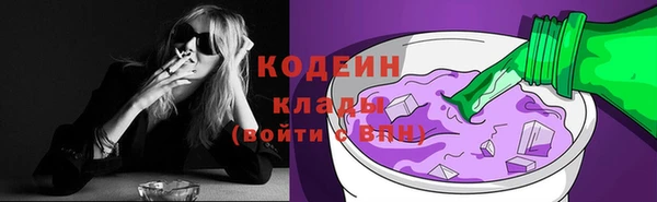 сатива Инсар