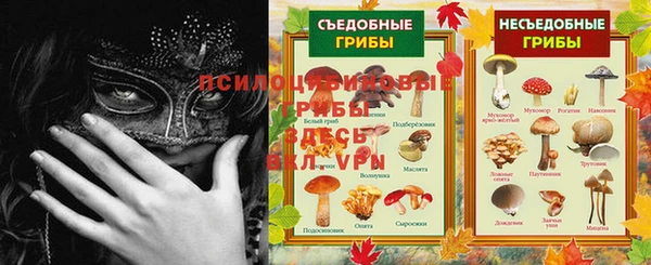 прущая мука Иннополис