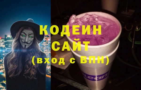 сатива Инсар