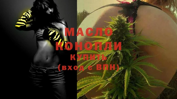 сатива Инсар